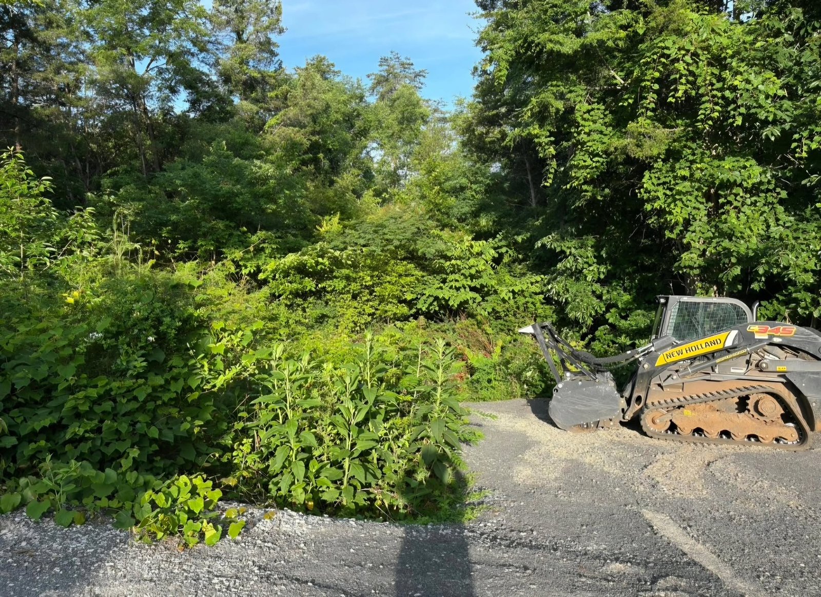 Land Clearing