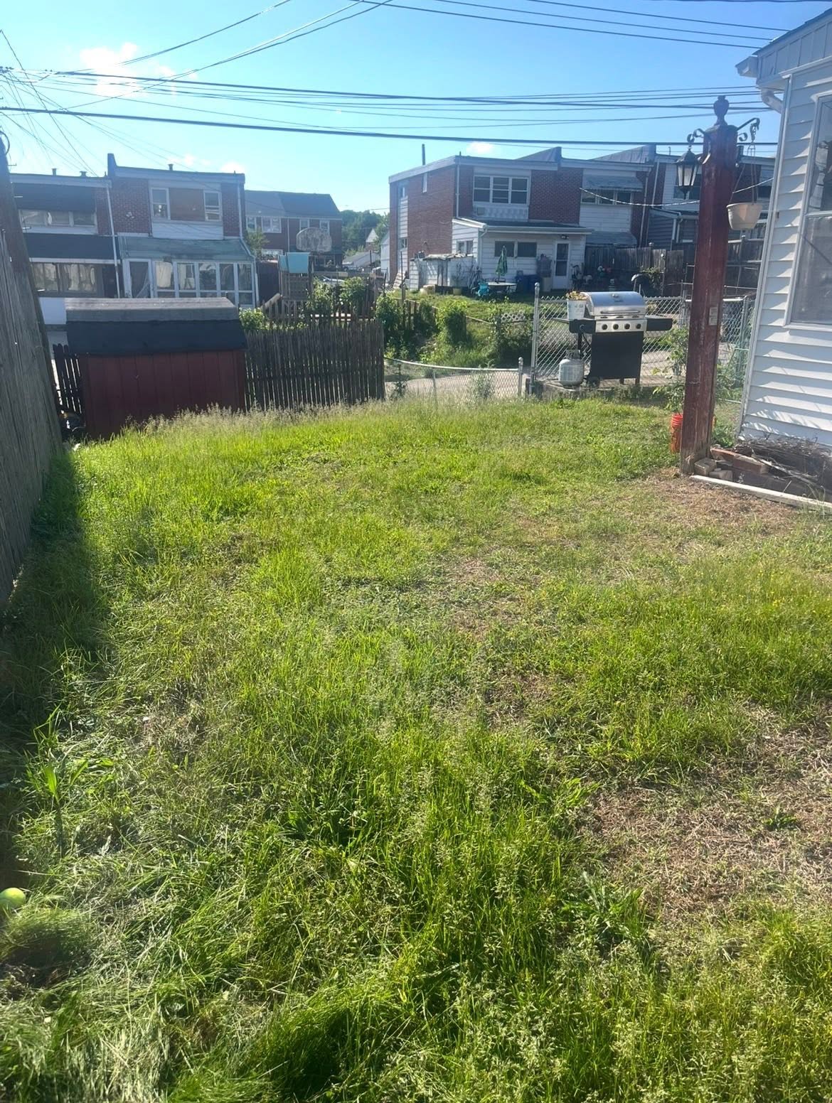Fence Line Clearing